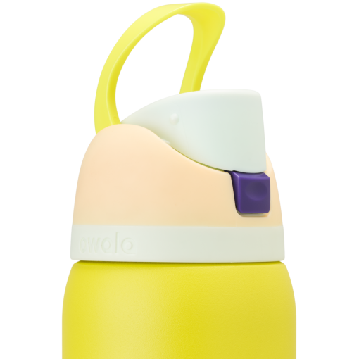 FreeSips Lemon Limeade - Image 9