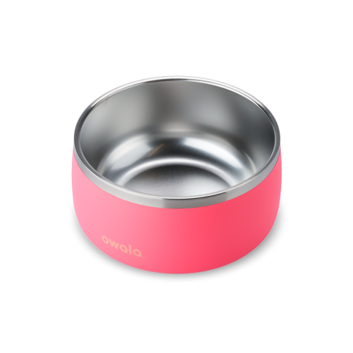 Pet Bowl Hyper Flamingo - Image 2